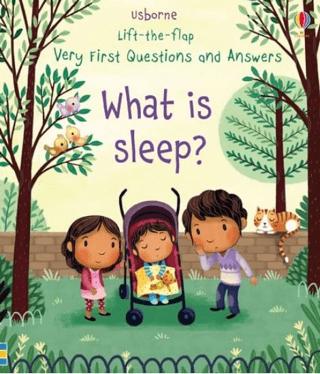 Lift-The-Flap Very First Questions and Answers What Is Sleep? | Usborne (Ciltsiz)  - Resim 1