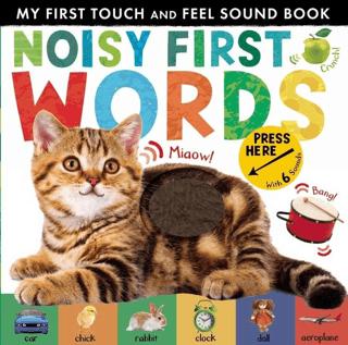 My First Touch and Feel Sound Book: Noisy First Word (New Edition) | Little Tiger Group (Ciltli)  - Resim 1