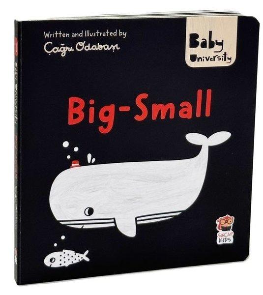 Big Small-Baby University First Concepts Stories | Sincap Kitap (İnce Kapak)  - Resim 1