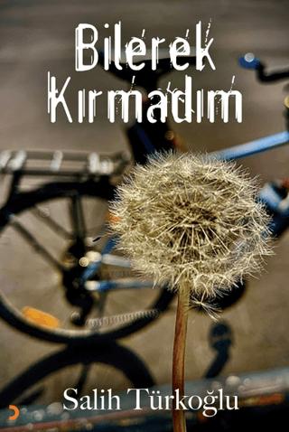 Bilerek Kırmadım