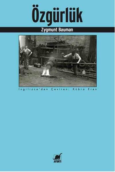 Özgürlük | Ayrıntı Yayınları (İnce Kapak)  - Resim 1
