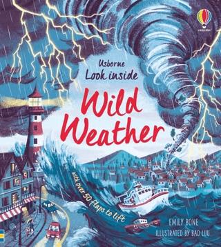 Look Inside Wild Weather | Usborne (Ciltsiz)  - Resim 1