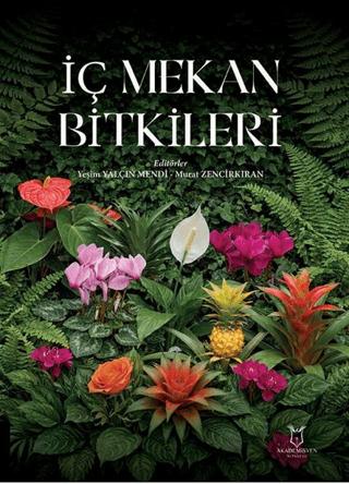 İç Mekan Bitkileri