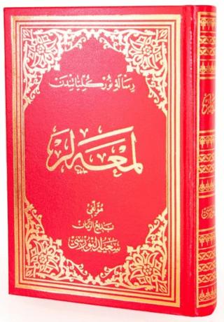 Zülfikar (Osmanlıca - Büyük Boy) | Envar Neşriyat (Ciltli)  - Resim 1