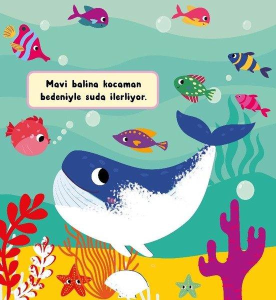Su Altında Yaşam - Sihirli Sulu Boyama | İndigo Çocuk (Ciltli)  - Resim 2