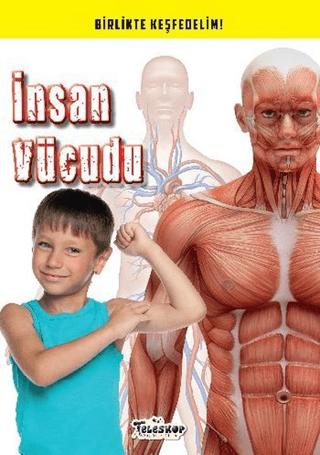İnsan Vücudu