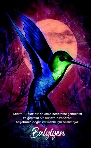 Şaman Defterleri - Balyiyen | Gece Kitaplığı (Ciltsiz)  - Resim 1