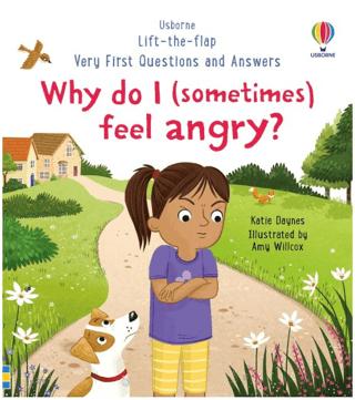 Very First Questions and Answers: Why do I (sometimes) feel angry? | Usborne (Ciltsiz)  - Resim 1