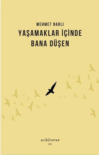 Yaşamaklar İçinde Bana Düşen | Muhit Kitap (İnce Kapak)  - Resim 1
