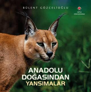 Anadolu Doğasından Yansımalar | TÜBİTAK Yayınları (Ciltsiz)  - Resim 1