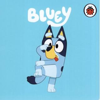 Bluey | Ladybird Book (Ciltli)  - Resim 1