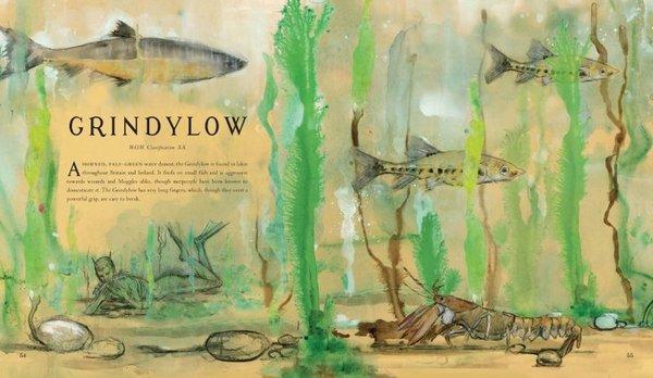 Fantastic Beasts and Where to Find Them: Illustrated Edition | Bloomsbury (Ciltli)  - Resim 3