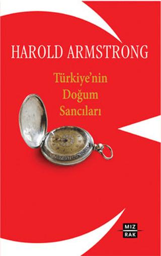 Türkiye'nin  Doğum Sancıları