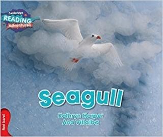 Seagull | Cambridge Yayınları (Ciltsiz)  - Resim 1