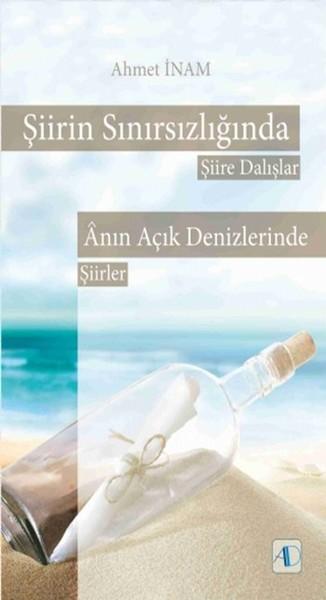 Şiirin Sınırsızlığında Şiire Dalışlar | Aktif Düşünce Yayıncılık (İnce Kapak)  - Resim 1