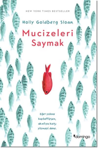 Mucizeleri Saymak | Domingo Yayınevi (İnce Kapak)  - Resim 1