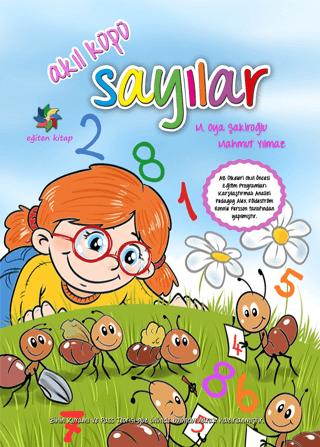 Akıl Küpü - Sayılar