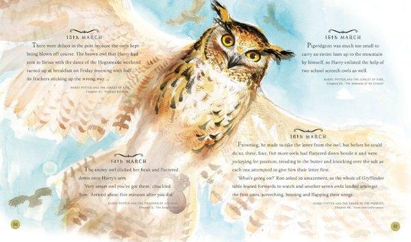Harry Potter - A Magical Year | Apple Ridge Fine Arts - Resim 6