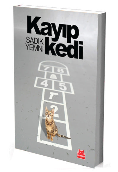 Kayıp Kedi - Sadık Yemni kitap kapağı