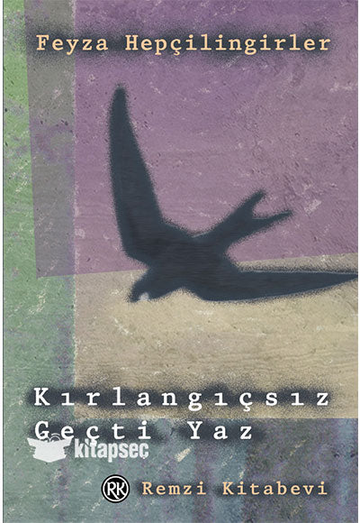 Kırlangıçsız Geçti Yaz - Feyza Hepçilingirler kitap kapağı