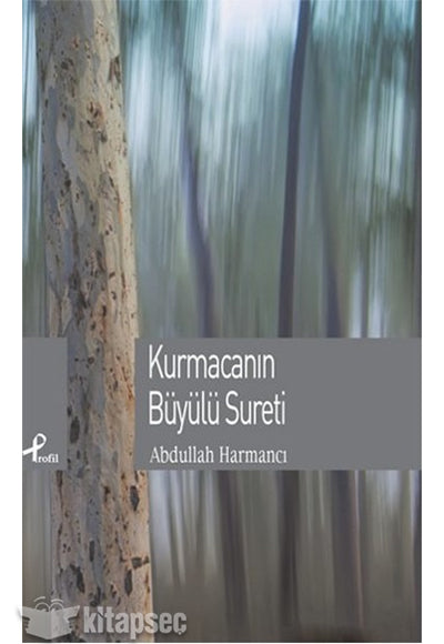 Kurmacanın Büyülü Sureti - Abdullah Harmancı kitap kapağı