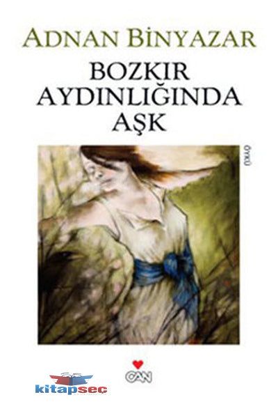 Bozkır Aydınlığında Aşk - Adnan Binyazar kitap kapağı