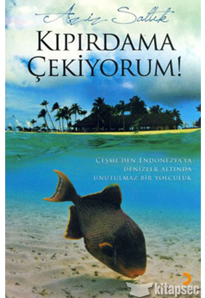 Kıpırdama Çekiyorum - Aziz Saltık kitap kapağı