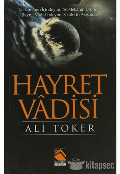 Hayret Vadisi - Ali Toker kitap kapağı