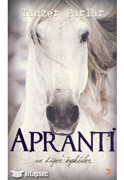Apranti ve Diğer Öyküler - Tanzer Parlar kitap kapağı