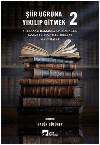 Şiir Uğruna Yıkılıp Gitmek 2