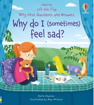 Very First Questions & Answers: Why do I (sometimes) feel sad? | Usborne (Ciltli)  - Resim 1