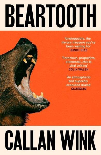 Beartooth | Granta (İnce Kapak)  - Resim 1