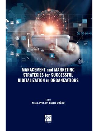 Management and Marketing Strategies for Successful Digitalization in Organizations