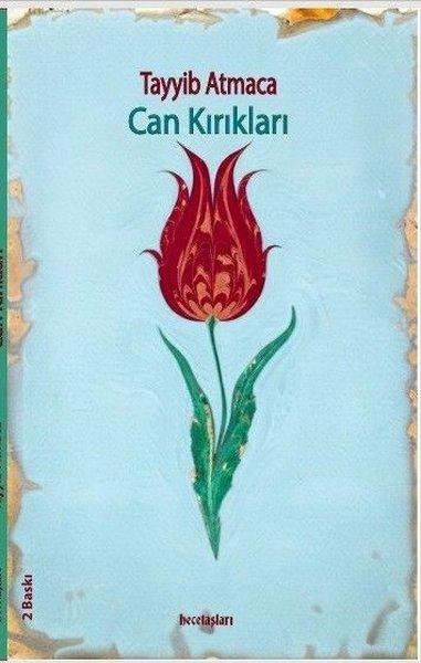 Can Kırıkları | Kitap Ağacı Yayınları (İnce Kapak)  - Resim 1