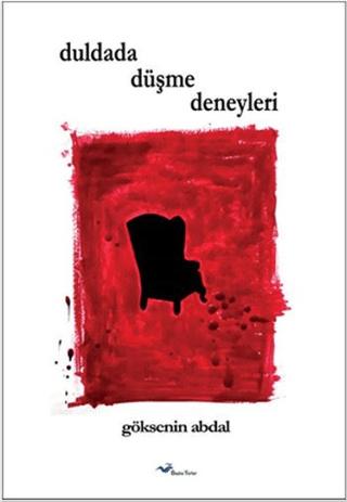 Duldada Düşme Deneyleri