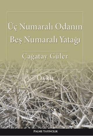 Üç Numaralı Odanın Beş Numaralı Yatağı | Palme Yayıncılık (Ciltsiz)  - Resim 1