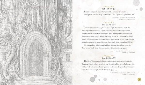 Harry Potter - A Magical Year | Apple Ridge Fine Arts - Resim 2
