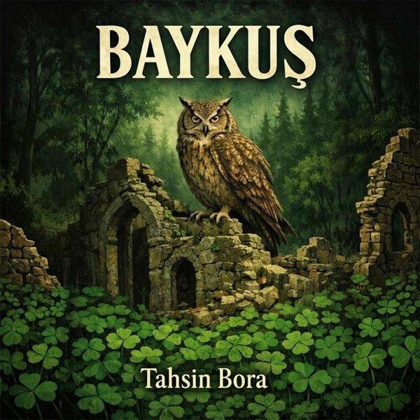 Baykuş | Sonçağ Yayınları (İnce Kapak)  - Resim 1