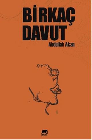 Birkaç Davut