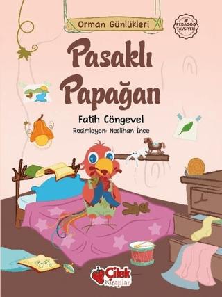 Pasaklı Papağan