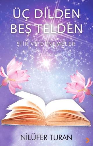 Üç Dilden Beş Telden