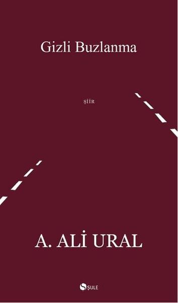 Gizli Buzlanma | Şule Yayınları - Şiir Dizisi (İnce Kapak)  - Resim 1