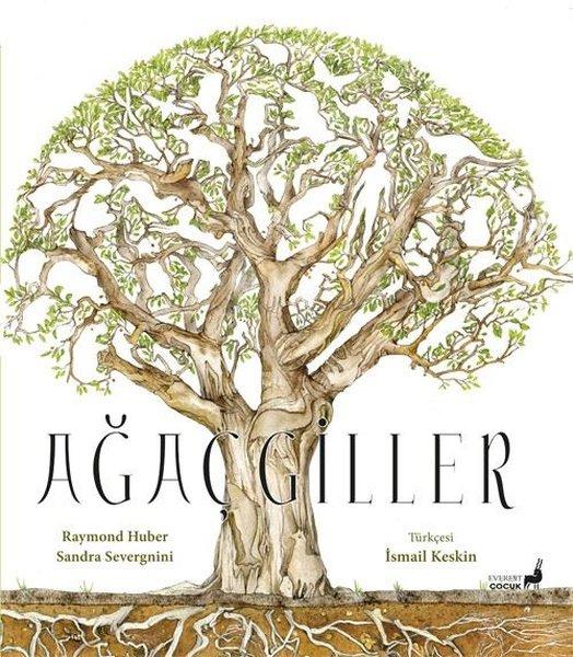 Ağaçgiller - Renkli Resimli | Everest Yayınları (İnce Kapak)  - Resim 1