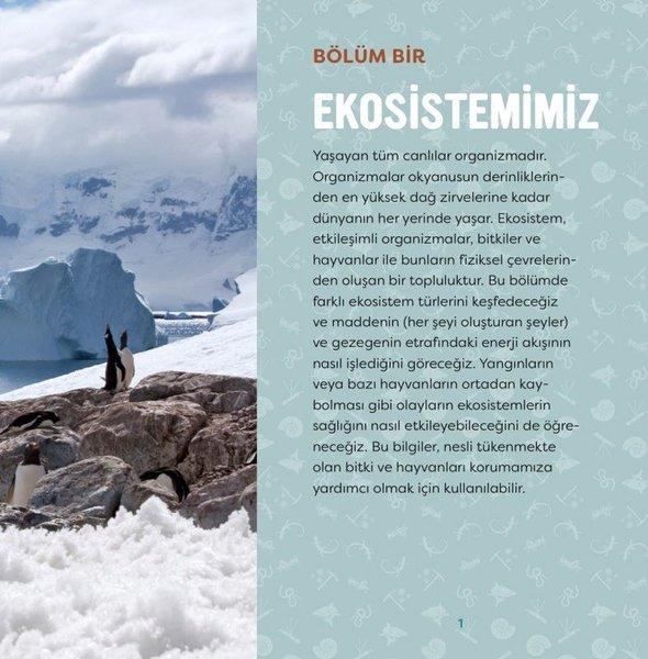 Yeryüzü - Genç Bir Bilim İnsanı İçin Kılavuz | Orman Kitap (İnce Kapak)  - Resim 4