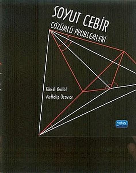 Soyut Cebir Çözümlü Problemleri | Nobel Akademik Yayıncılık (İnce Kapak)  - Resim 1
