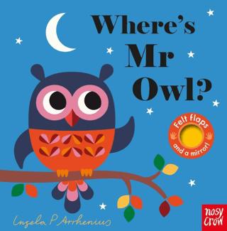 Where's Mr Owl? | Nosy Crow (Ciltli)  - Resim 1