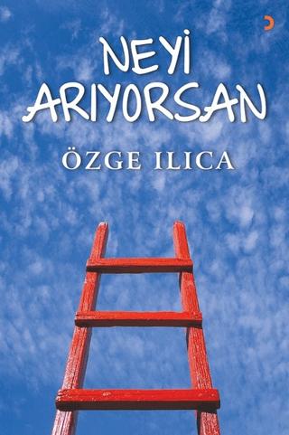 Neyi Arıyorsan