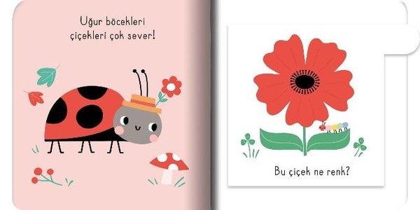 Renkler - Kalın Kapaklı Kapılı Kitap | İndigo Çocuk (Ciltli)  - Resim 2