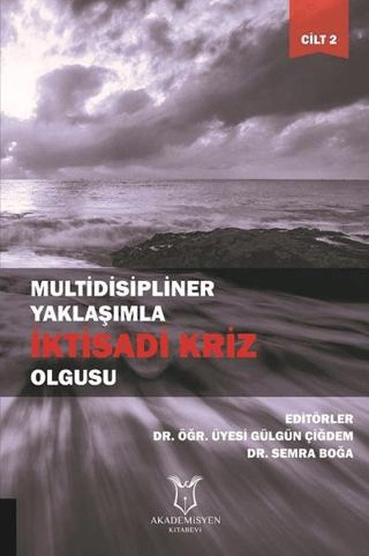 Multidisipliner Yaklaşımla İktisadi Kriz Olgusu Cilt 2 | Akademisyen Kitabevi (Ciltsiz)