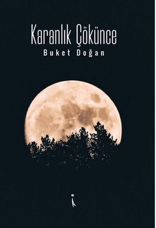Karanlık Çökünce | İkinci Adam Yayınları